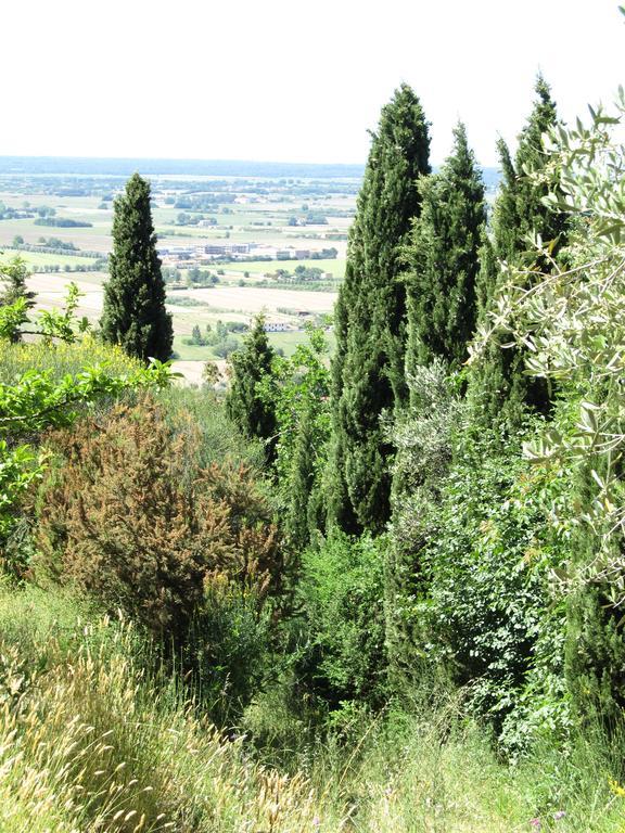 Agriturismo La Grotta サン・ジュリアーノ・テルメ エクステリア 写真